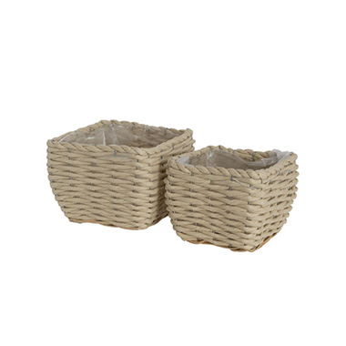 C Baskets Planters - Flower Planter Pots - Seagrass Planter Squat Set of 2 Natural White (19x19x13cmH)