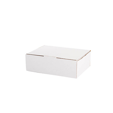 Mailing Boxes - Kraft Mailing Box Pack 10 A5 Small White (220Wx160Dx78mmH)