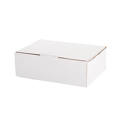 Mailing Boxes - Kraft Mailing Box Pack 10 A4 Medium White (310Wx225Dx102mmH)