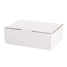 Mailing Boxes - Kraft Mailing Box Pack 10 A3 Large White (430Wx305Dx140mmH)