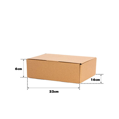 Kraft Mailing Box Pack 10 A5 Small Brown (220Wx160Dx60mmH)