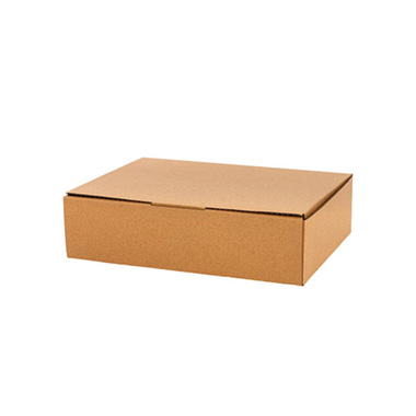Mailing Boxes - Kraft Mailing Box Pack 10 A4 Medium Brown (310Wx225Dx80mmH)