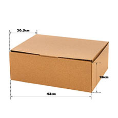 Kraft Mailing Box Pack 10 A3 Large Brown (430Wx305Dx260mmH)