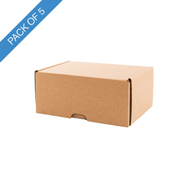 Mailing Boxes - Premium Mailing Hamper Box Small Pk5 Brown (23Wx15Dx9.5Hcm)