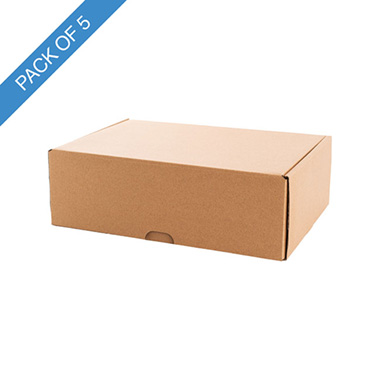 Mailing Boxes - Premium Mailing Hamper Box Medium Pk5 Brown (32Wx22Dx10Hcm)