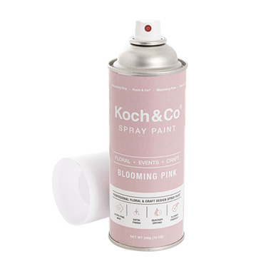 Floral Event Craft Spray Paint Blooming Pink (340g)