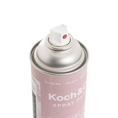 Floral Event Craft Spray Paint Blooming Pink (340g)