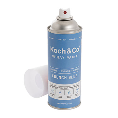 Floral Event Craft Spray Paint French Blue (340g)