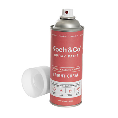 Floral Event Craft Spray Paint Bright Coral (340g)