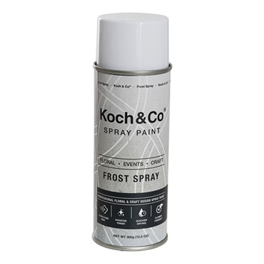 Floral Event Craft Spray Frost (300g)