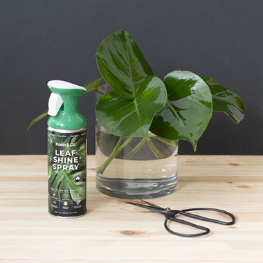 Leaf Shine & Sealer - Koch & Co Leaf Shine Spray 400ml