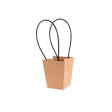 Flower Bouquet Bags - Flower Carry Bag Kraft Brown Small Pk5 (9.5x13x15.5cmH)