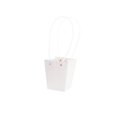 Flower Bouquet Bags - Flower Carry Bag Kraft White Small Pk5 (9.5x13x15.5cmH)