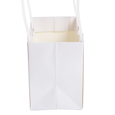 Flower Carry Bag Kraft White Rectangle Pk5 (22x10.5x13cmH)