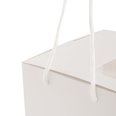 Portable Flower Gift Box White Pack 5 (20x20x25Hcm)