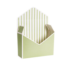 Envelope Gift Boxes - Envelope Flower Box Large Pk5 Stripes Green (23Lx8Dx16cmH)
