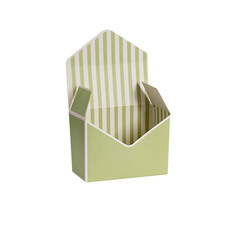 Envelope Gift Boxes - Envelope Flower Box Small Pk5 Stripes Green (5.5Lx8Dx11cmH)