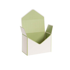 Envelope Gift Boxes - Envelope Flower Box Small Pk5 White Green (15.5Lx8Dx11cmH)