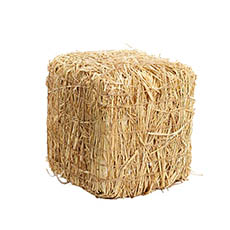 Straw Hay Bale Cube Natural (25cmx25cmH)