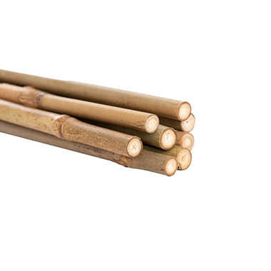 Bamboo Pole 8-10mm Pack 8 (90cm) Natural Dried