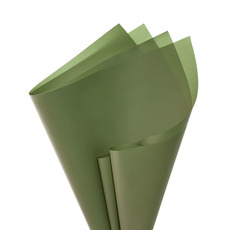 Coloured Kraft Paper - Kraft Paper Coloured 60gsm Pack 100 Moss (54x76cm)
