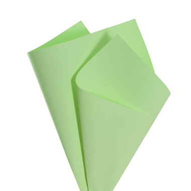 Coloured Kraft Paper - Kraft Paper Coloured 80gsm Paradise Green Pack 100 (50x70cm)