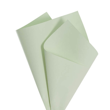 Coloured Kraft Paper - Kraft Paper Coloured 80gsm Deep Sage Pack 100 (50x70cm)