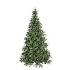 Artificial Christmas Trees - Needle Pine Snow Tip Christmas Tree Green (122cmWx180cmH)