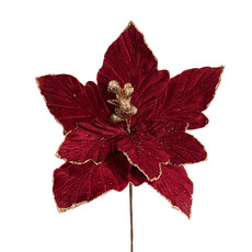 Christmas Flowers & Greenery - Poinsettia Pick Burgundy (23cmDx20cmH)