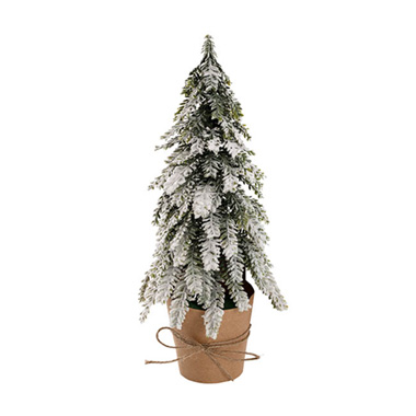 Tabletop Christmas Trees - Snow Flocked Aspen Pine Table Top Tree White (38cmH)