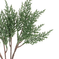 Cypress Pine Spray Green (40cmH)