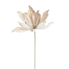 Magnolia Flower Pick Pack 3 Champage (30cmH)