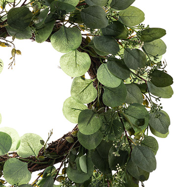 Dollar Gum Eucalyptus Wreath Green (56cmD)