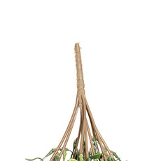 Hanging Mistletoe Bush Green (62cm)