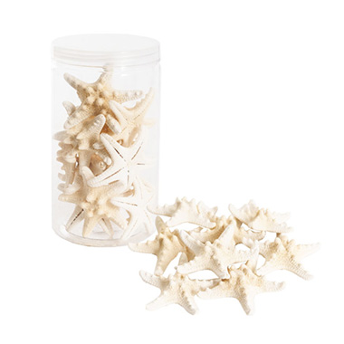Shells - Starfish Decoration Large Natural 12pcs Per Jar