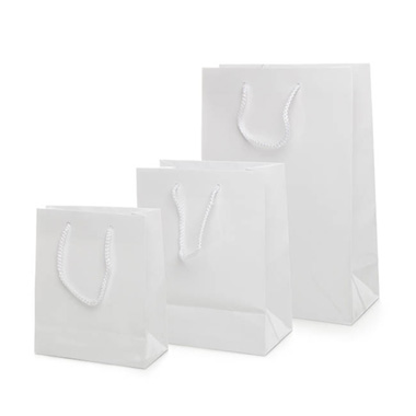 Paper Bag Gloss Shopper Small White (200Wx115Gx260mmH)