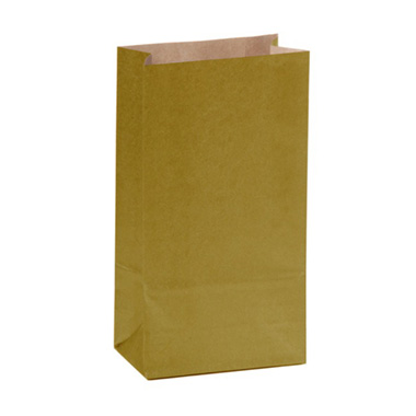 Lolly Bags - Gift Bag Gusset Kraft Paper Gold (90Wx47Gx165mmH)