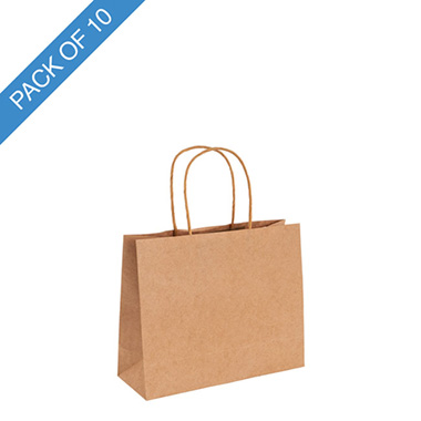 Kraft Paper Carry Bags - Kraft Paper Bag Boutique Med Brown Pk10 (220Wx80Gx180mmH)
