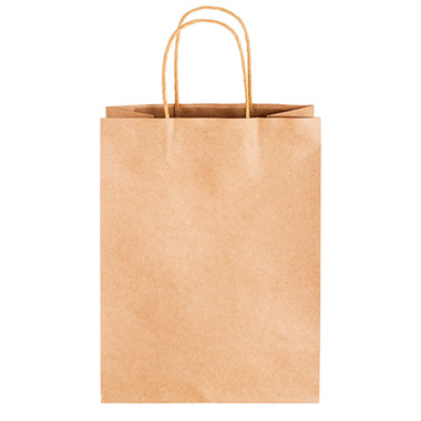 Kraft Paper Bag Shopper Jumbo Brown Pk10 (380Wx120Gx460mmH)