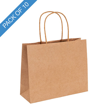 Kraft Paper Carry Bags - Kraft Paper Bag Boutique Jumbo Brown Pk10 (450Wx100Gx350mmH)
