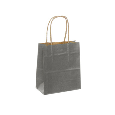 Kraft Paper Carry Bags - Kraft Paper Bag Shopper Extra Small Silver (140Wx75Gx165mmH)