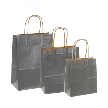 Kraft Paper Bag Shopper Extra Small Silver (140Wx75Gx165mmH)