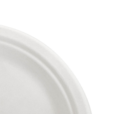 Sugarcane Lunch Plate White (18cm) Pack 10