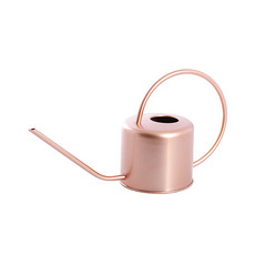 Tin Metal Watering Can & Jug - Watering Can Stainless Steel Rose Gold (38x13x19.5cmH)