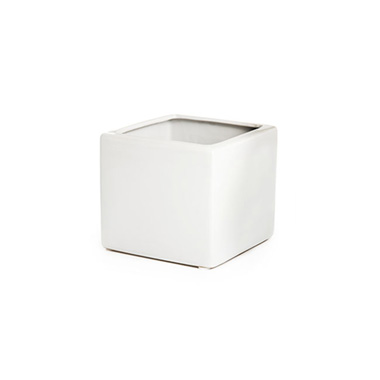 Florist Flower Pots - Ceramic Bondi Cube Succulents White (8x8x8cmH)