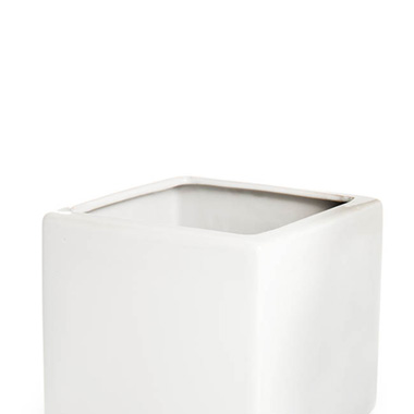Ceramic Bondi Cube Succulents White (8x8x8cmH)