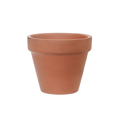 Terracotta Taranto Succulent Pot Pack of 6 Brown (10x9cmH)