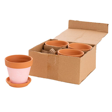 Terracotta Taranto Succulent Pot Plate Pink Pack 4 (10x9cmH)