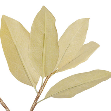 Magnolia Leaves Spray Metallic Champagne Gold (73cmH)