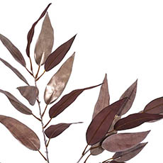 Willow Eucalyptus Leaves Spray Metallic Silver (90cmH)